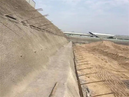 曲周河道边坡加固